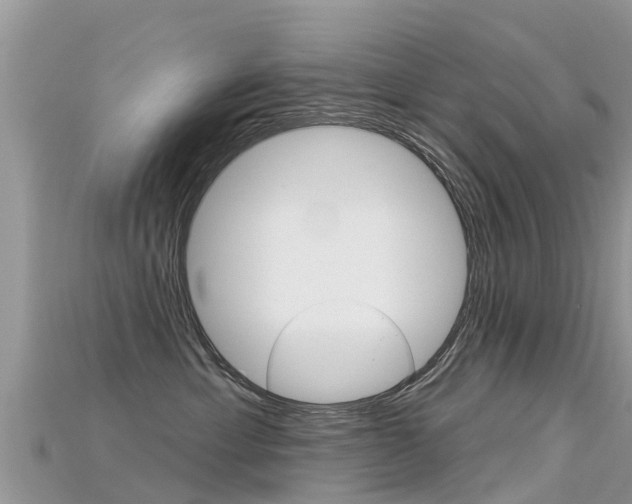 X0000115690429200911121012