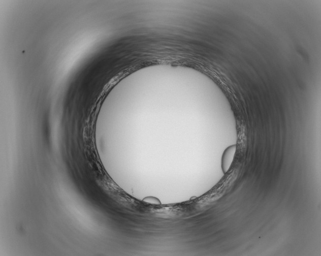 X0000115690430200911121012