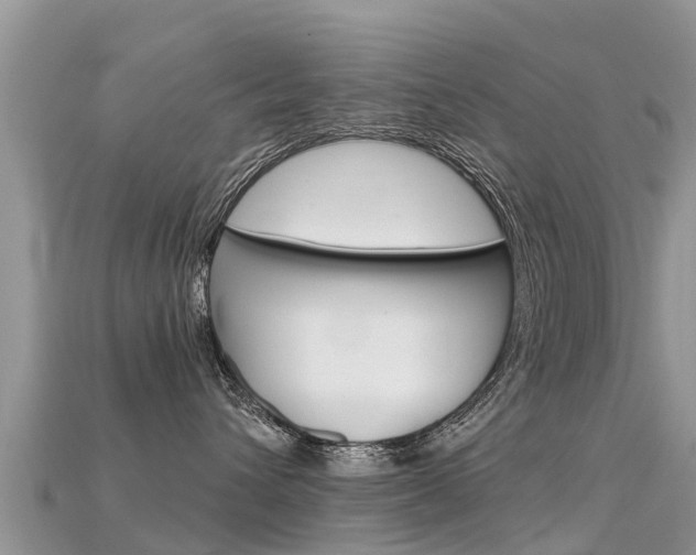 X0000115690432200911121012