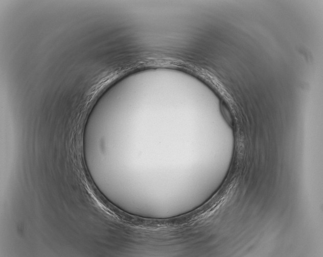 X0000115690433200911121011