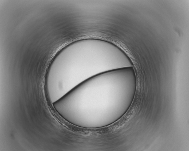 X0000115690434200911121011