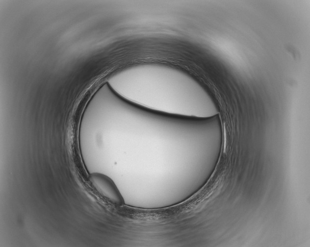 X0000115690435200911121011