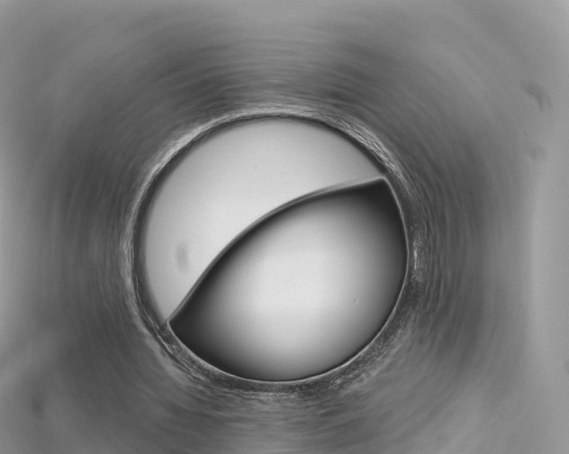 X0000115690436200911121011