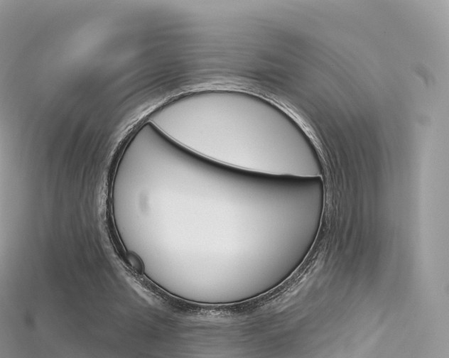 X0000115690437200911121011