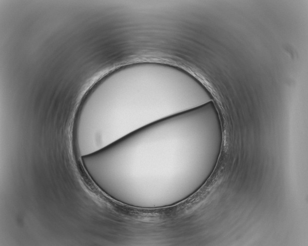 X0000115690438200911121011