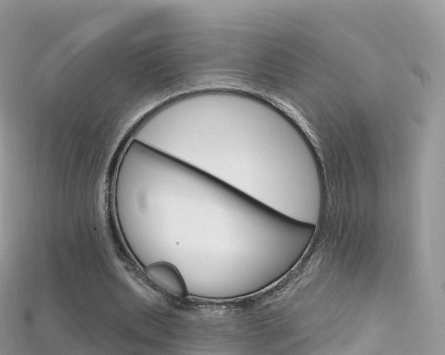 X0000115690439200911121011