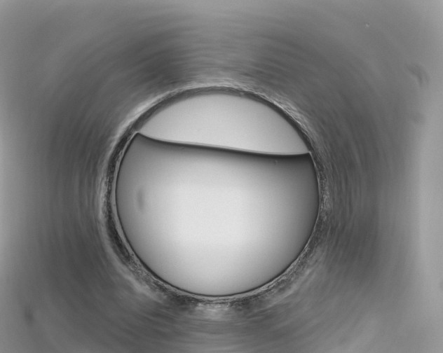 X0000115690440200911121011