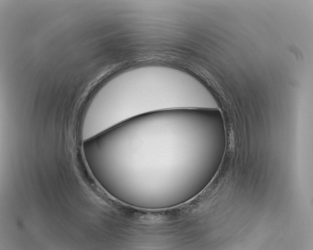 X0000115690444200911121011