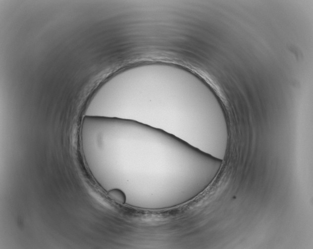 X0000115690445200911121011