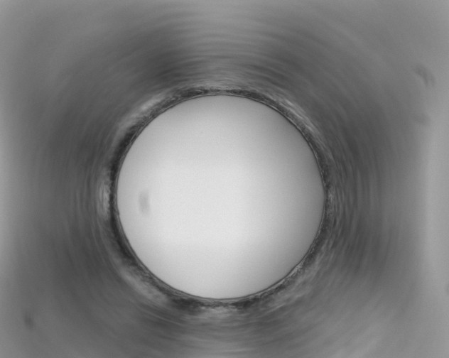 X0000115690446200911121011