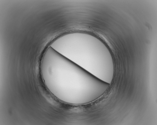 X0000115690447200911121011