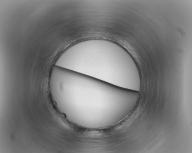 X0000115690449200911121011