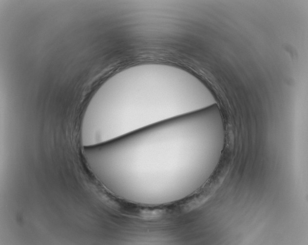 X0000115690450200911121011