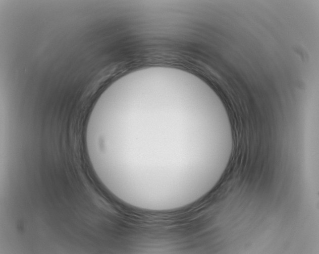 X0000115690452200911121011