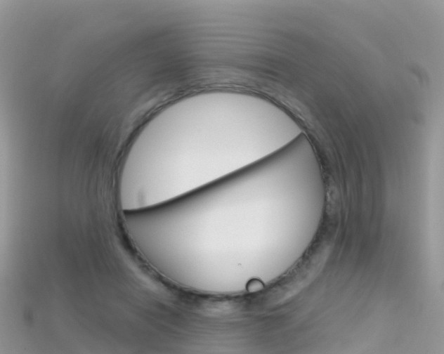X0000115690454200911121011