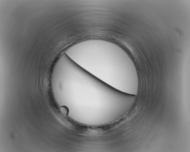 X0000115690455200911121011