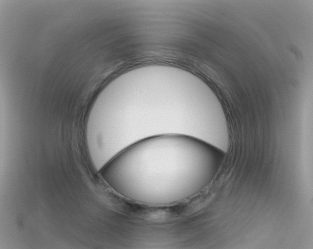X0000115690456200911121011