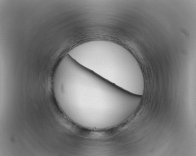 X0000115690457200911121011
