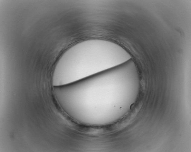 X0000115690458200911121011