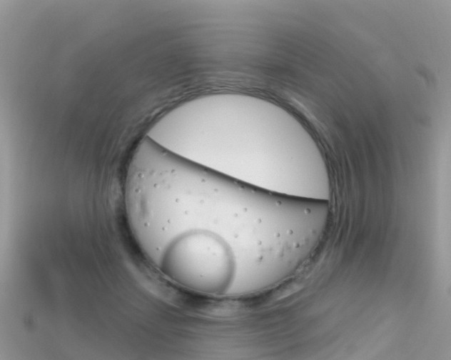 X0000115690459200911121011