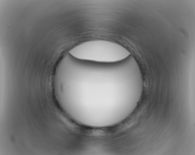 X0000115690462200911121011