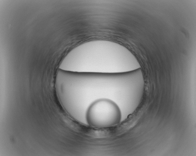 X0000115690466200911121011