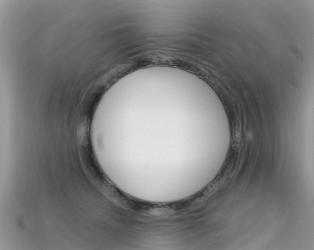 X0000115690468200911121011