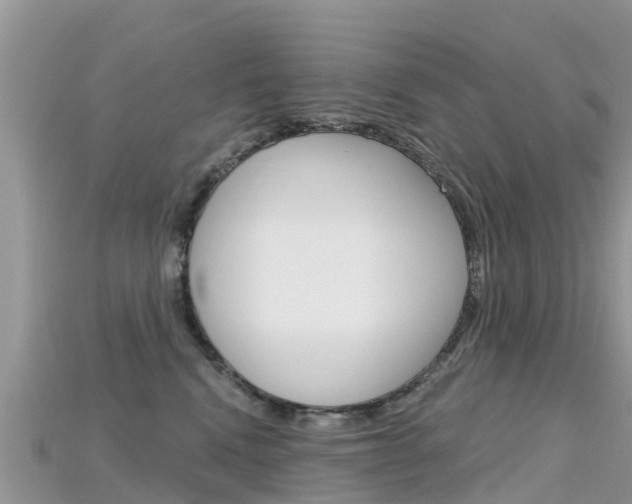 X0000115690472200911121011