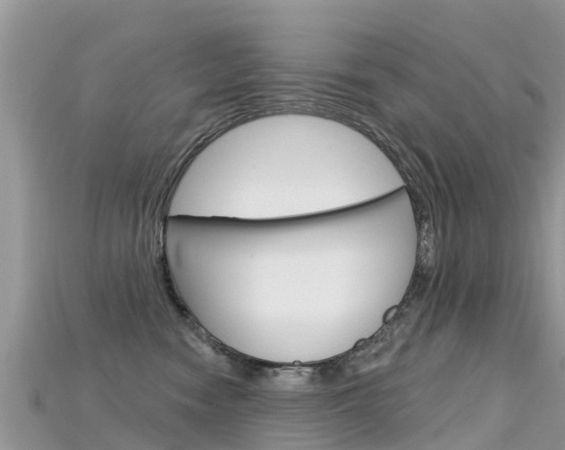 X0000115690474200911121011