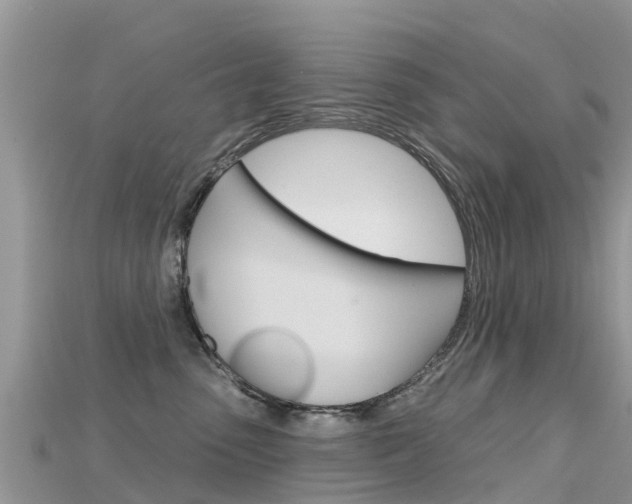 X0000115690475200911121012