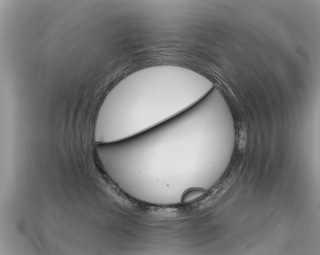 X0000115690476200911121012