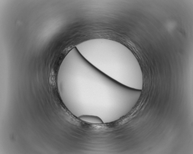 X0000115690477200911121012