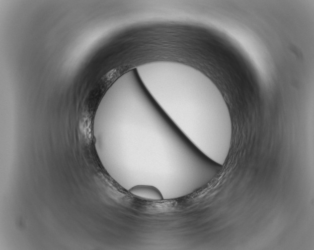 X0000115690479200911121012