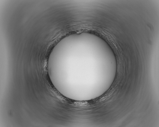 X0000115690480200911121012