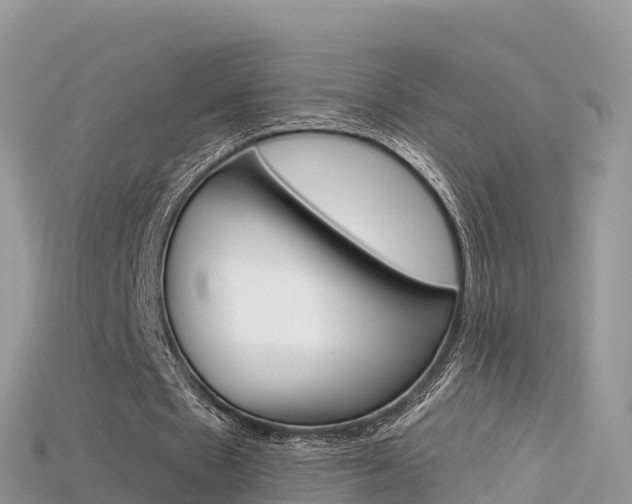 X0000115690481200911121011