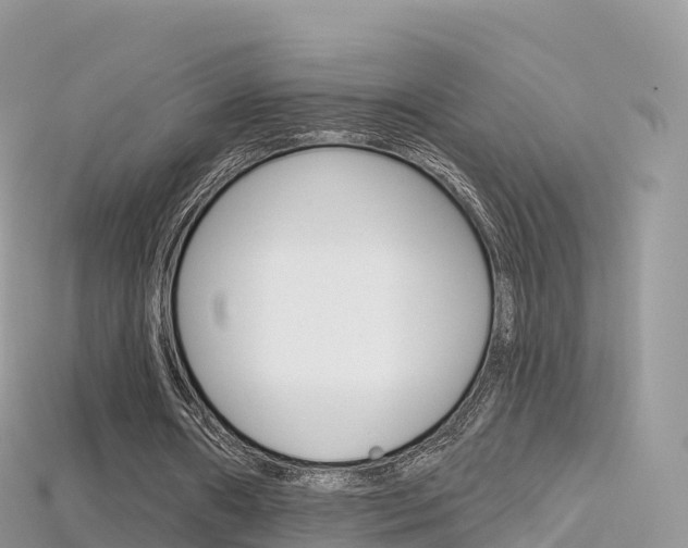 X0000115690482200911121011