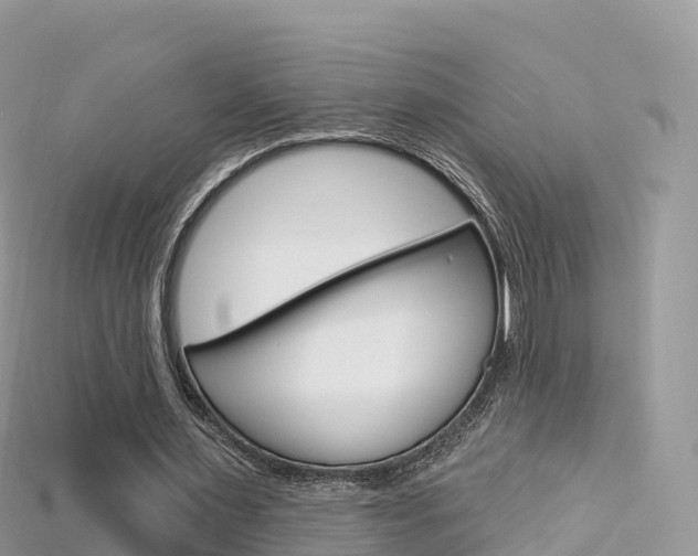 X0000115690483200911121011