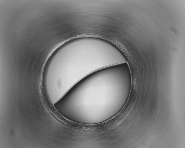 X0000115690484200911121011