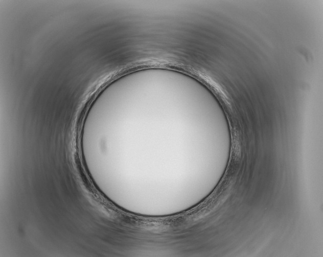 X0000115690486200911121011