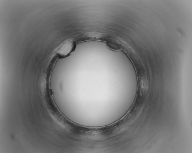 X0000115690492200911121011