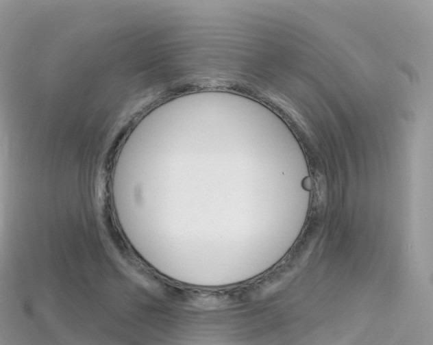 X0000115690494200911121011