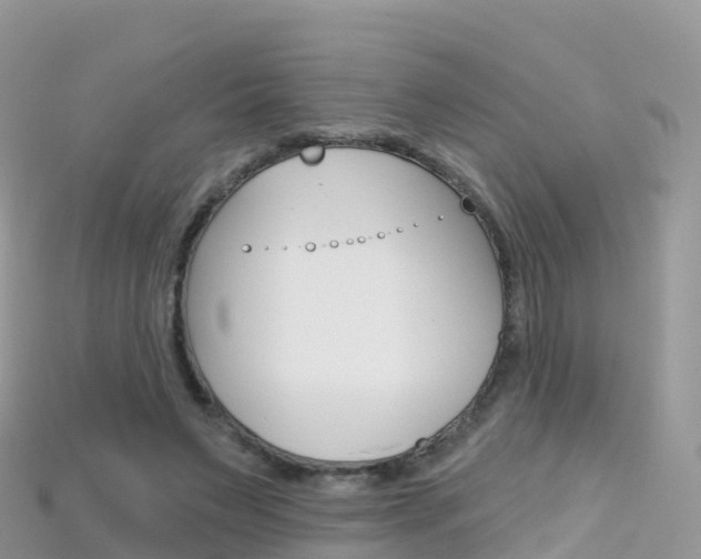 X0000115690495200911121011