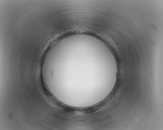 X0000115690496200911121011