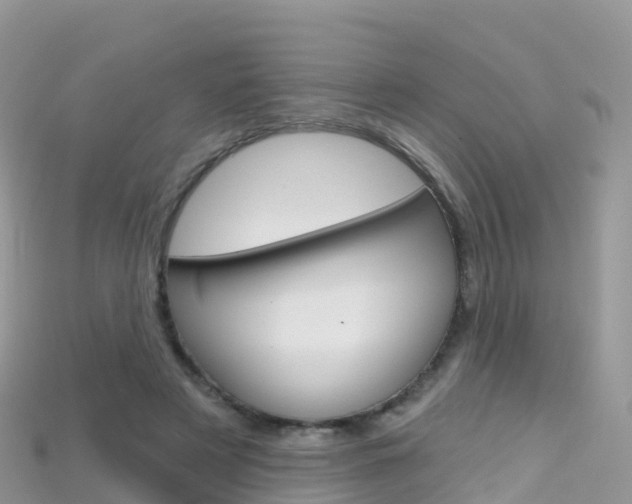 X0000115690497200911121011