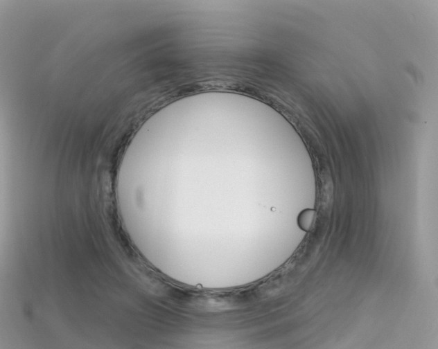 X0000115690498200911121011