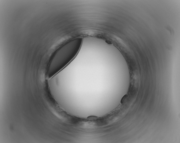 X0000115690500200911121011