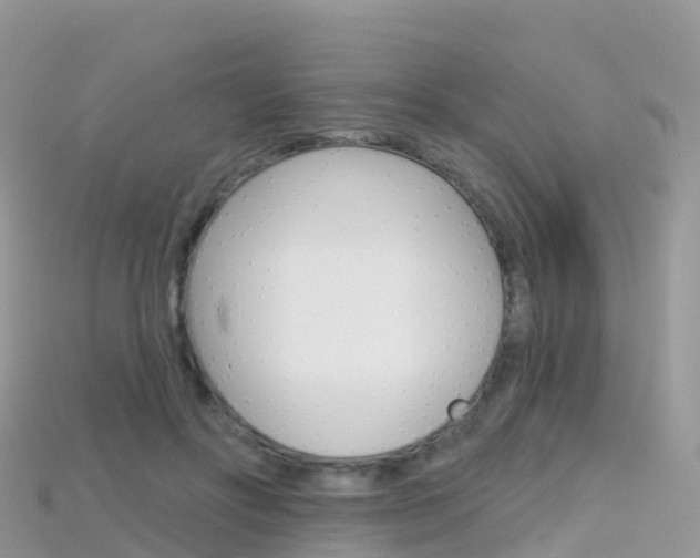 X0000115690502200911121011