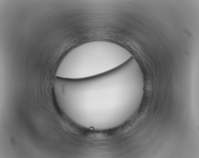 X0000115690503200911121011