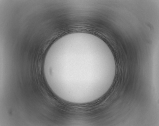 X0000115690504200911121010