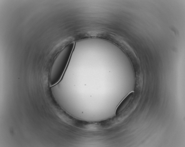 X0000115690505200911121010
